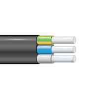 Кабель АВВГ-Пнг(А)-LS 3х2.5 ОК (N PE) 0.66кВ (м) ЭЛПРОМ БП-00001507