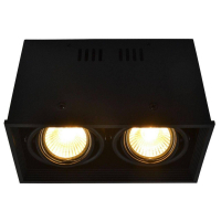 Потолочный светильник Arte Lamp Cardani A5942PL-2BK