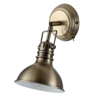 Спот Arte Lamp A1102AP-1AB