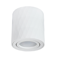 Накладной светильник Arte Lamp Fang A5559PL-1WH