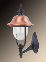 Уличный настенный светильник Arte Lamp Barcelona A1482AL-1BK