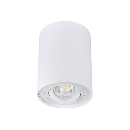 Накладной светильник Kanlux Bord DLP-50-W  22551