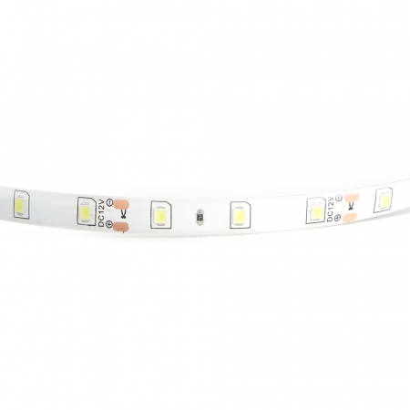 Cветодиодная LED лента Feron LS604, 60SMD(2835)/м 4.8Вт/м  5м IP65 12V 6500К 27638